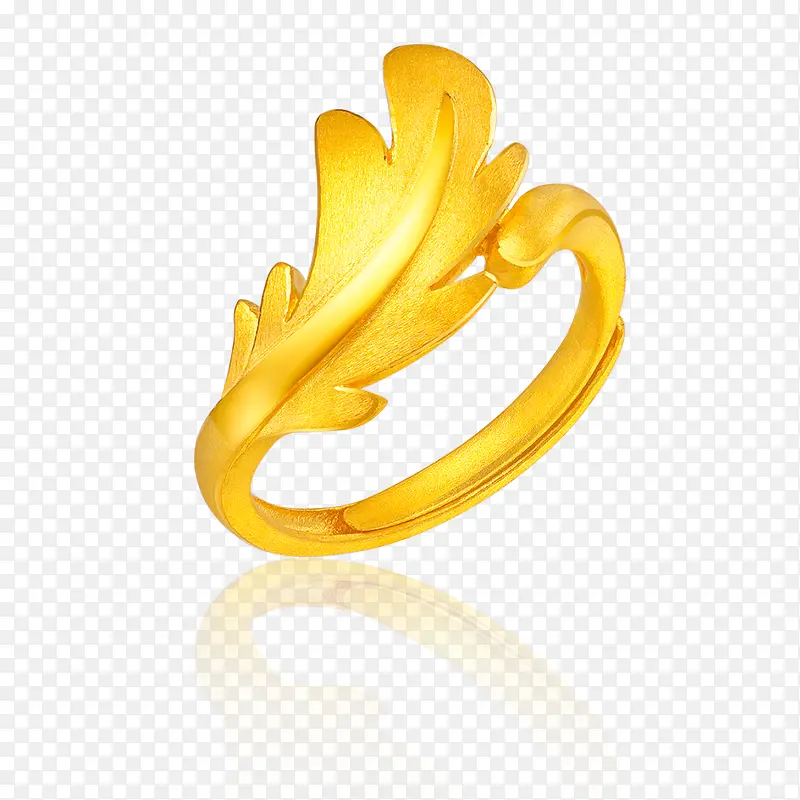 ��ɫ��ָ-������