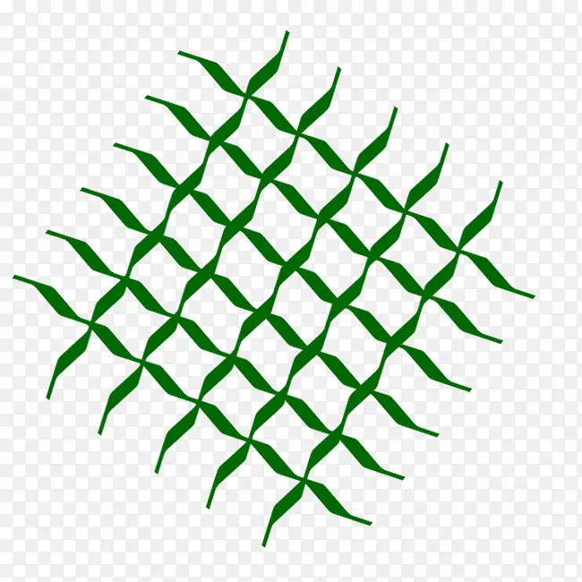 ��ɫ������������-������