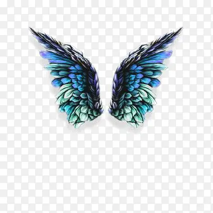 ��ɫ���-������