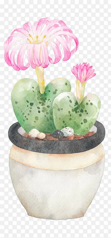 ��Լˮī��Сֲ��-������