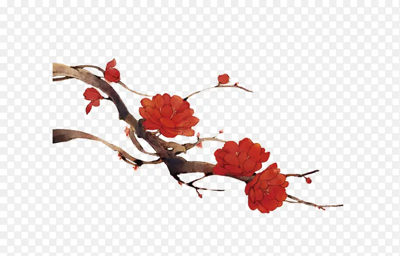 һ֦�컨-������