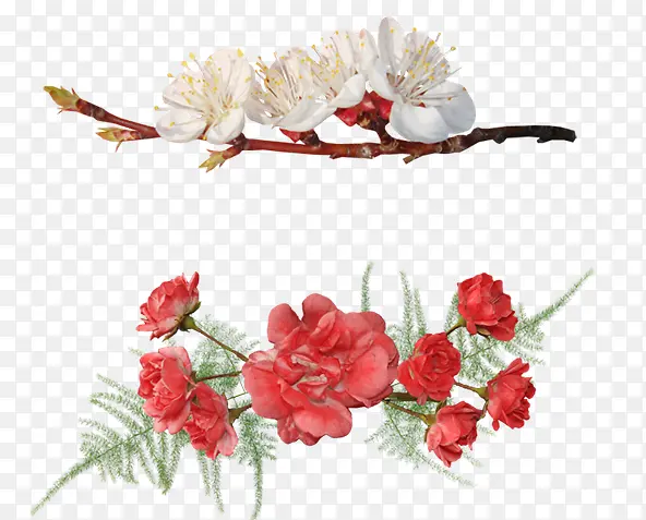 ��֦�ϻ�-������