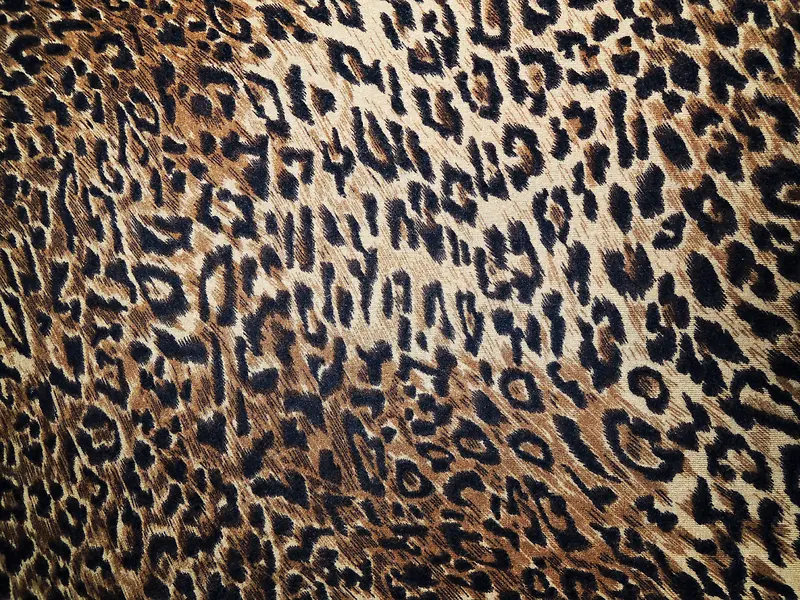 ���Ʊ�������-������