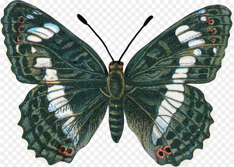 �ֻ����-������