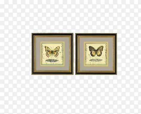 �����걾-������