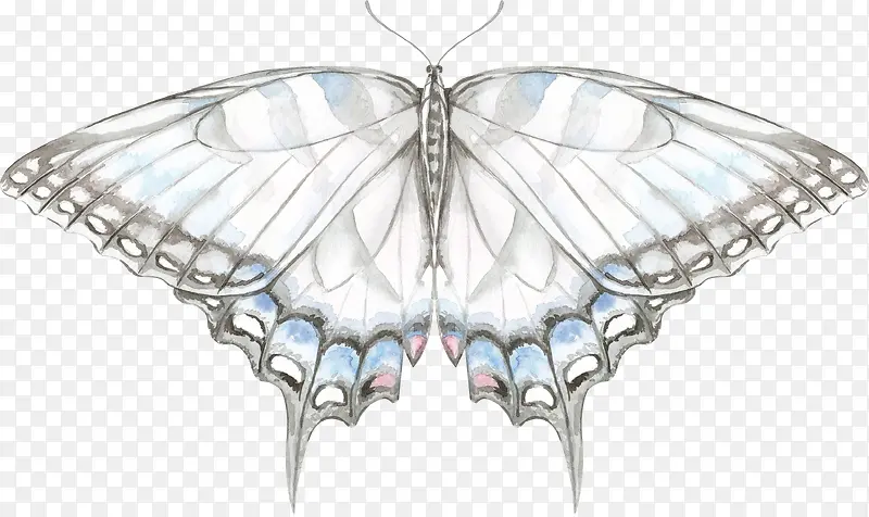 �ֻ��ɫ����-������