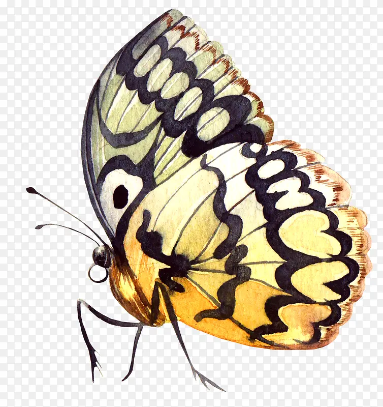 �ֻ�Ψ����ɫ����-������