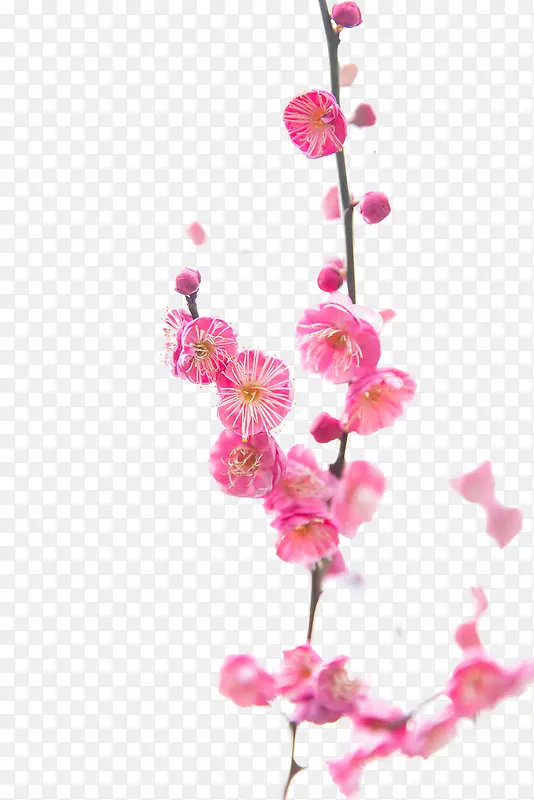 ��ɫ�һ�-������