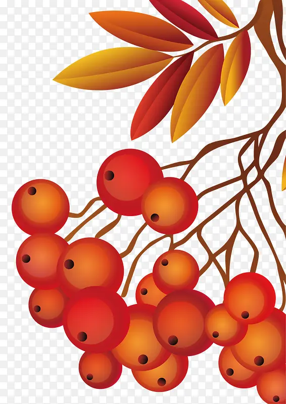 ��ɫ��ʵ���-������