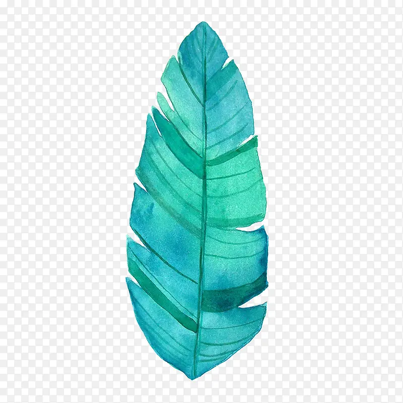 ��ɫˮ��Ҷ���ֻ�ˮ��С����ֲ��-������