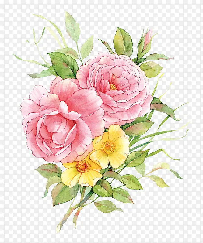 ˮ�ʻ�-������