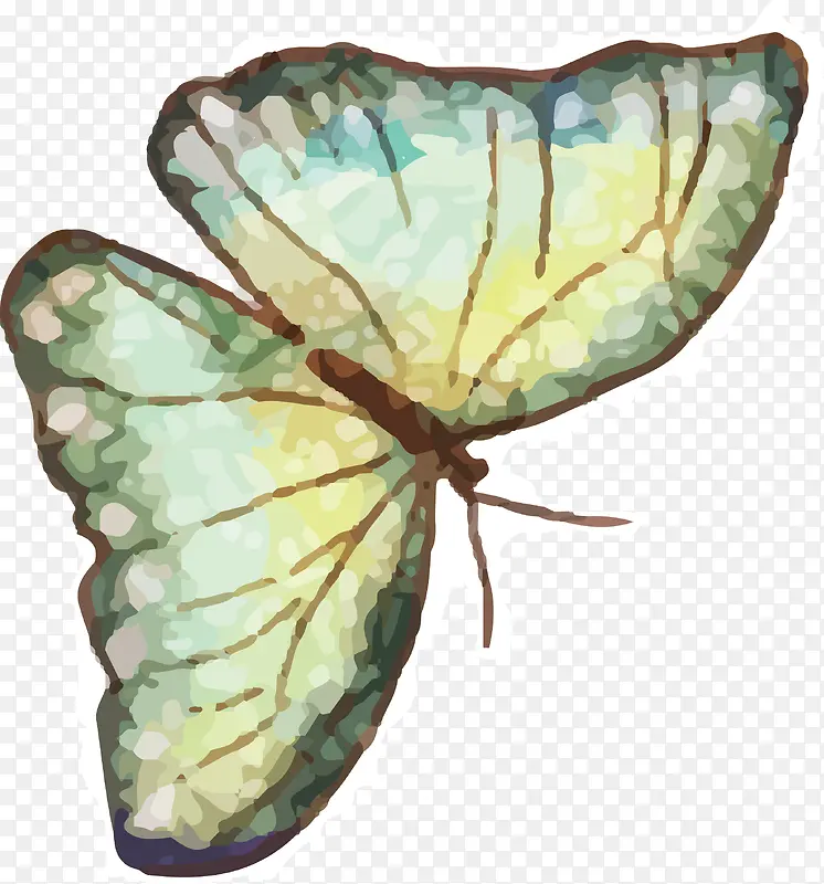 ����ʸ��-������