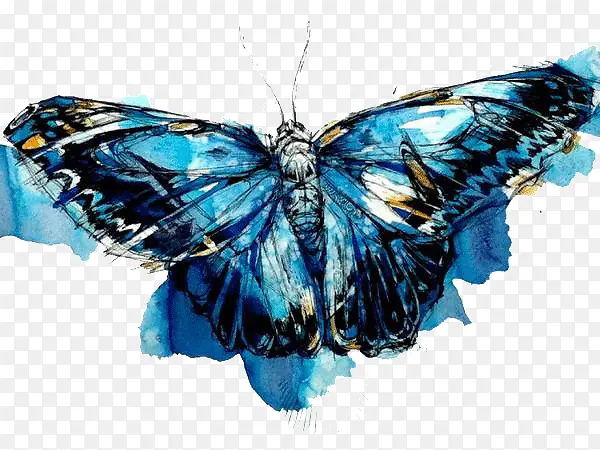 �������ˮ�ʻ�-������