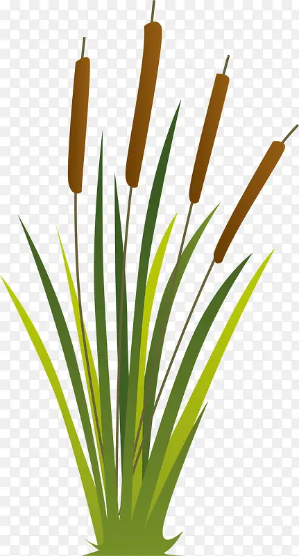 ��ɫ«έֲ��С��-������