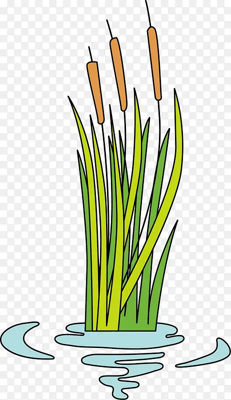 ������ɫ��ͨ«έ-������