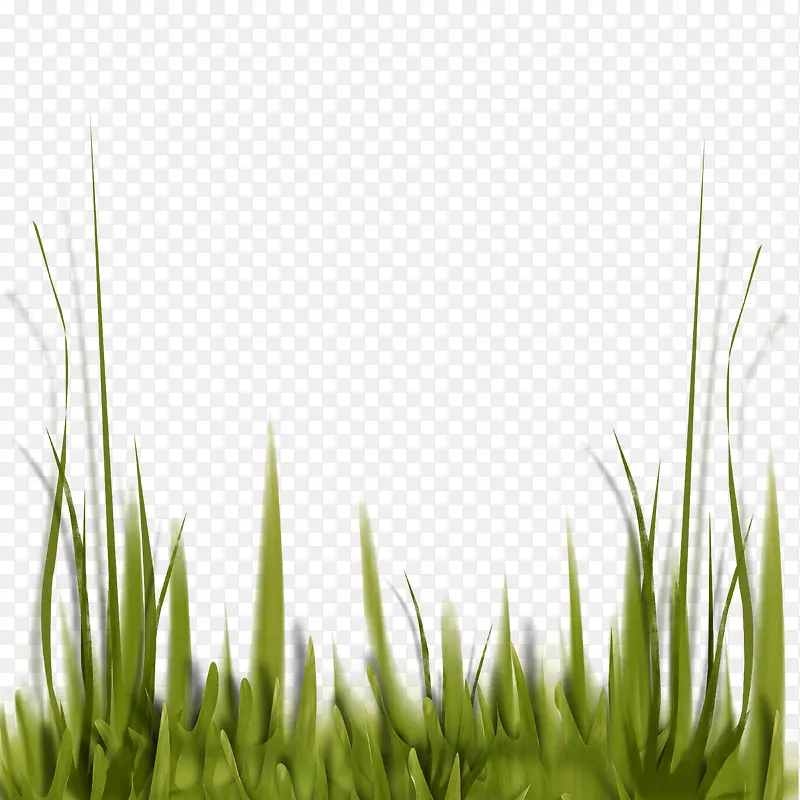 С��-������