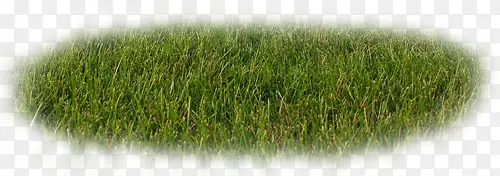 ��-������