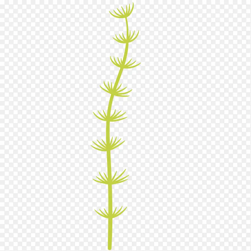 ��ɫϸ�����ݿ�ͨ�廭-������