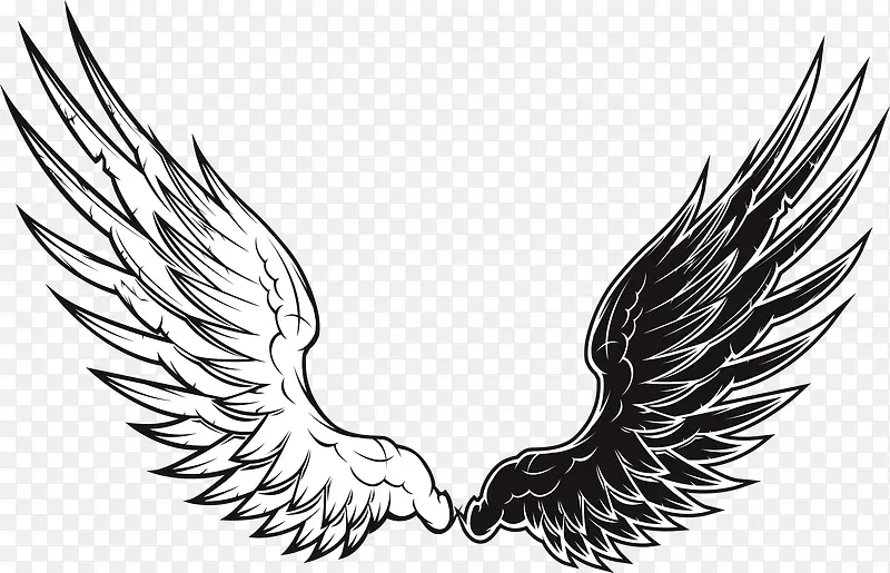 ʸ���ڰ׳����ͼ-������