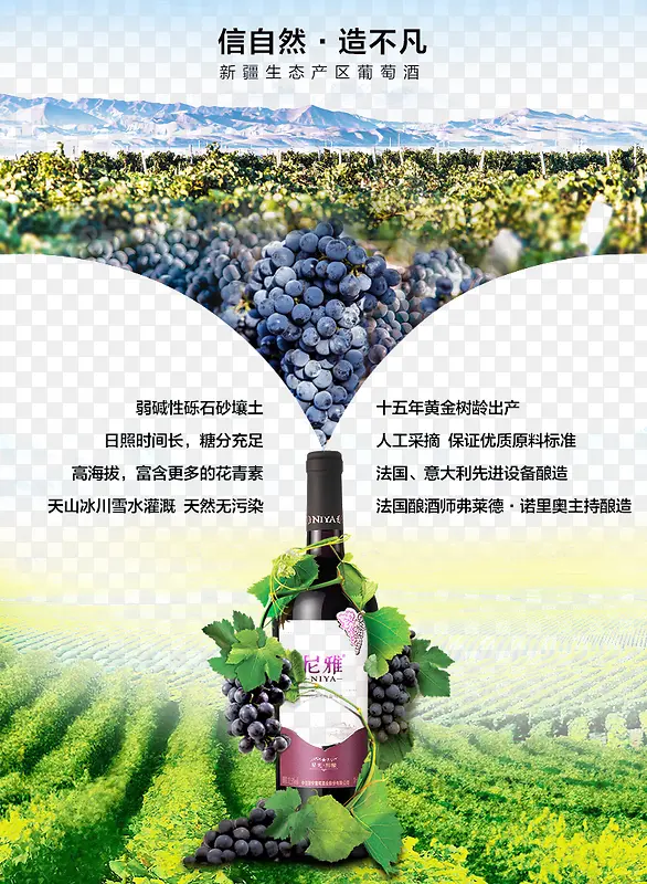 ����԰ˮ�����-������