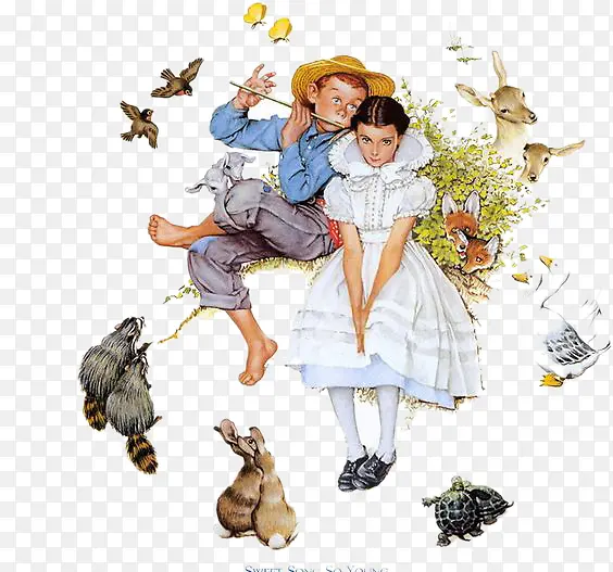 ɭ���������-������