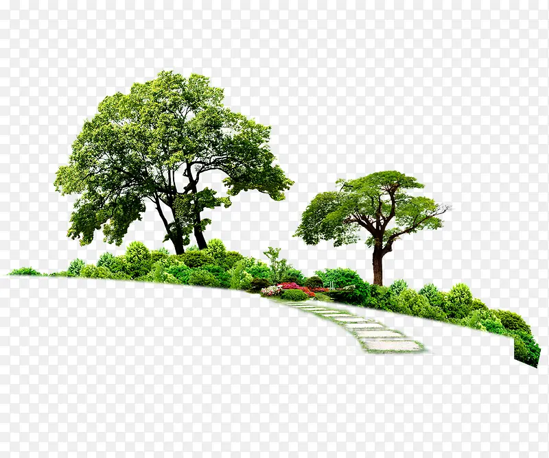 ��ɫС���ز�-������