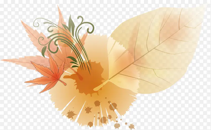 ��ͨ����Ԫ��-������