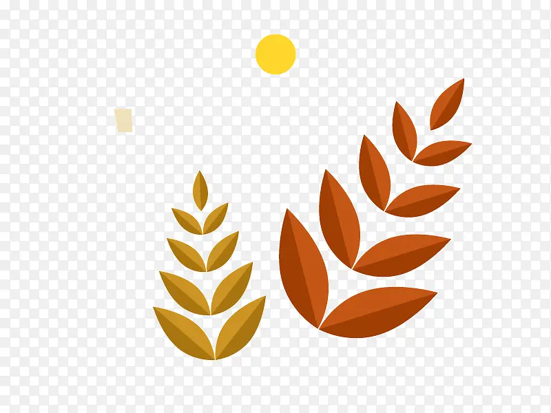 ��Ҷ�＾��ͨʸ���ز�-������