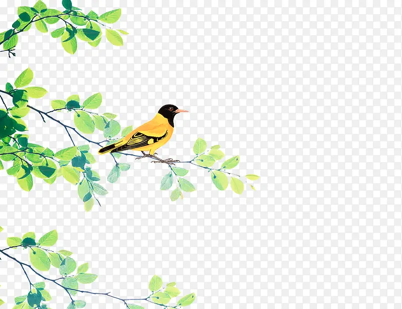 ����-������