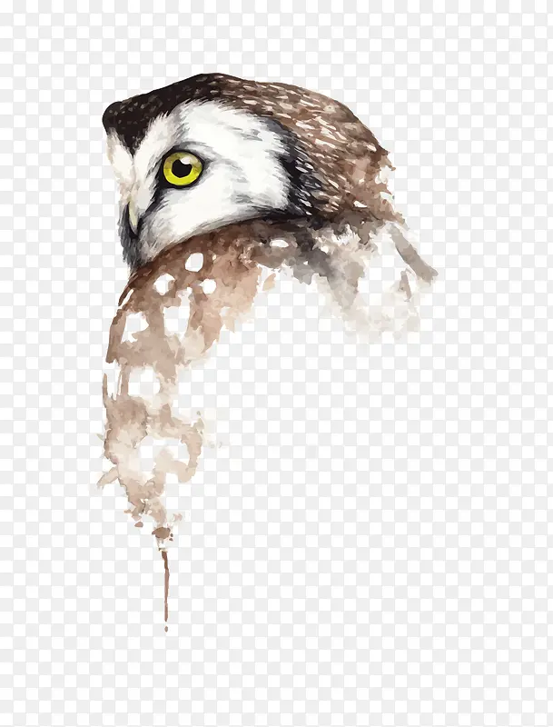 ʸ��èͷӥ-������