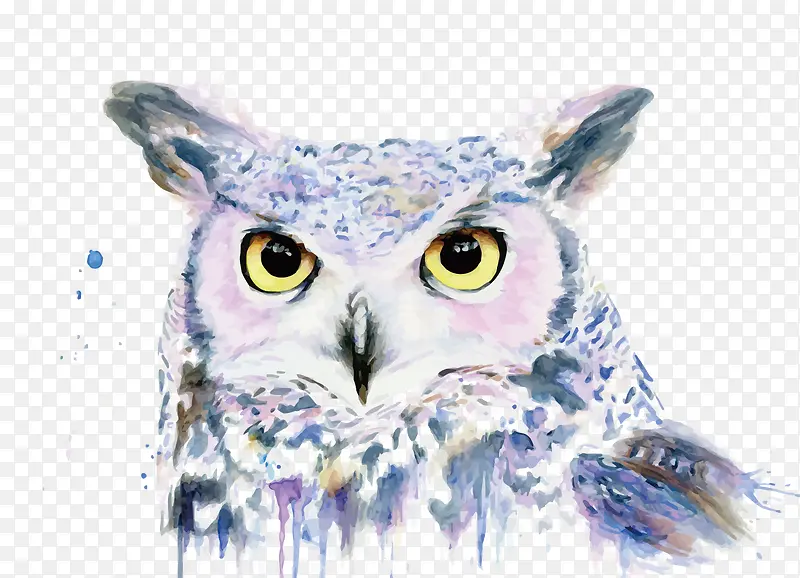 ʸ��èͷӥ-������