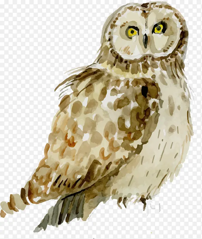 �ֻ��ɫˮ��èͷӥ-������