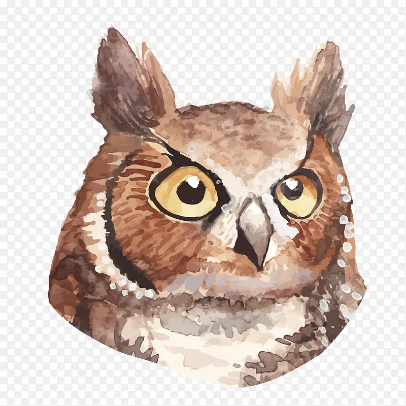 ˮ��èͷӥ-������