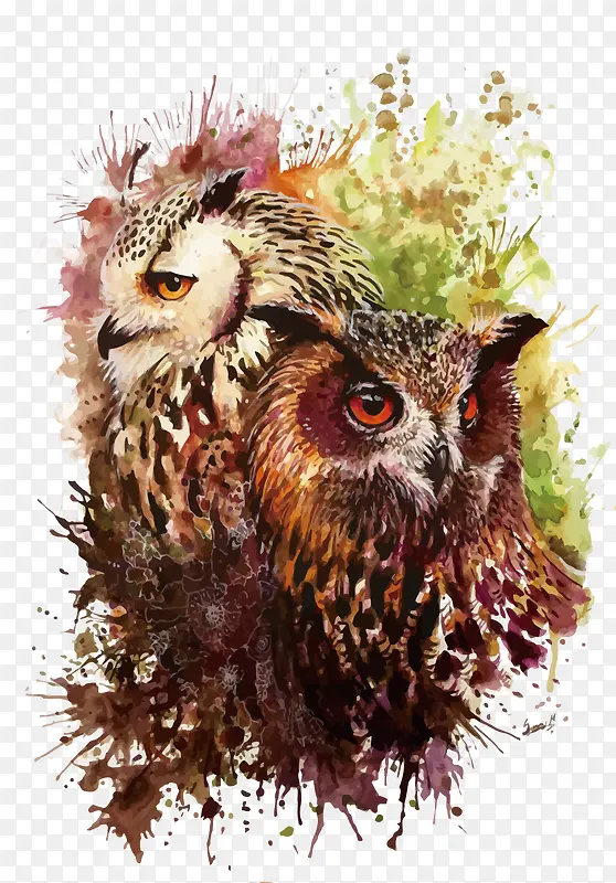 ʸ��ˮ��èͷӥ-������