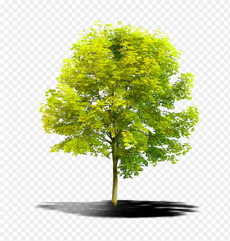 ���������´��̵���-������