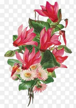 �ֻ滨��ͼƬ�ֻ滨����-������