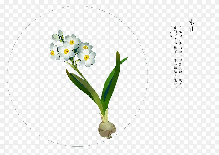 �ֻ滨��-������