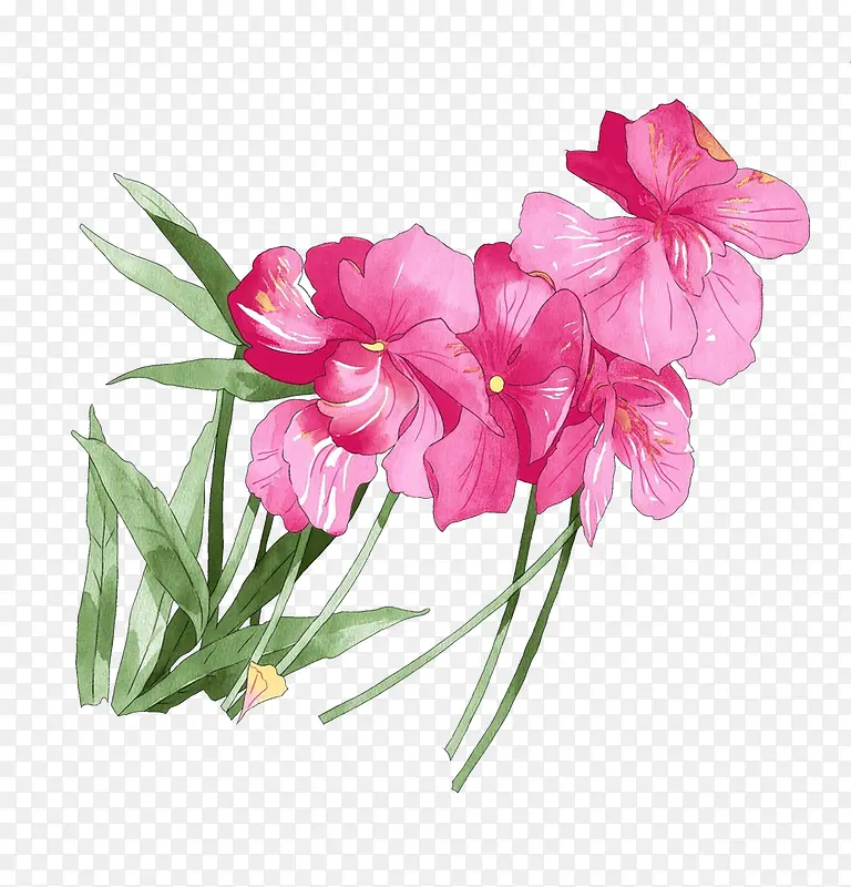 ˮ�ɻ��廭-������