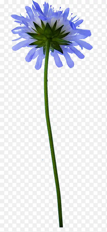 ps�����ز����������ز�-������