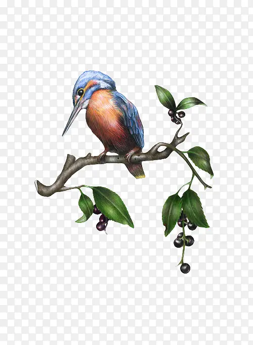 �ֻ���֦����-������