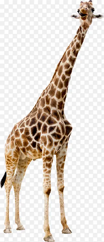 ��ͨ�ֻ濨ͨ����¹-������