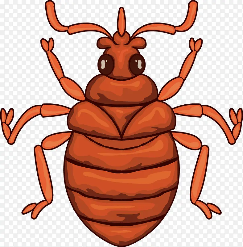 ���Ӽ׿����津��-������