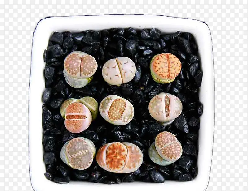 ��ʯ������-������