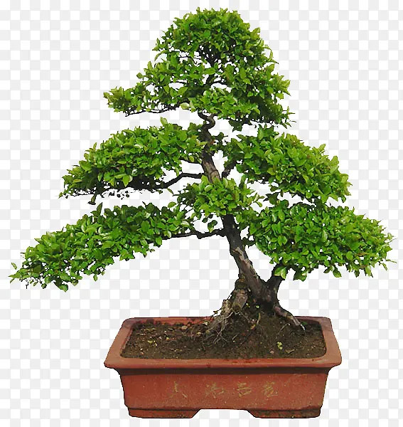 �羰����������ز�-������