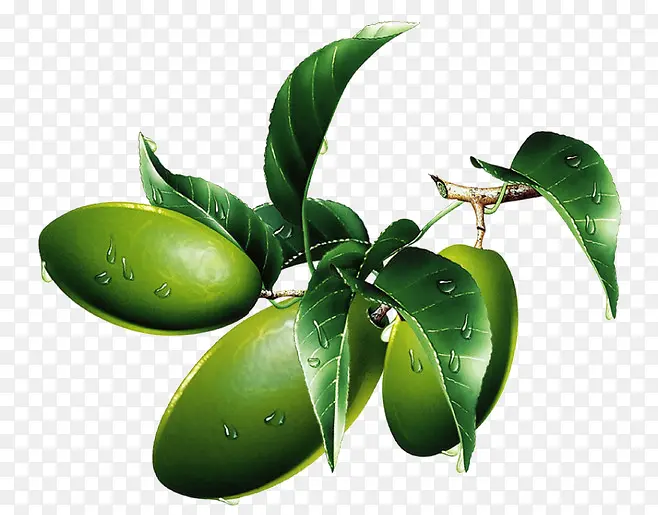 ��֦-������