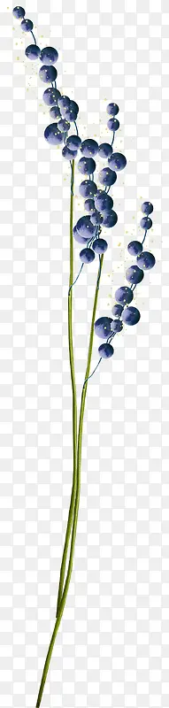 ��ɫ����-������