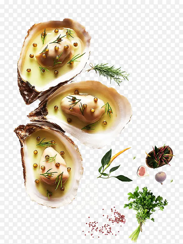 �����ʳ���ʳ��װ��-������