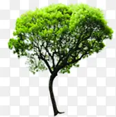 ���������������-������