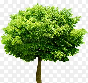 ����������������-������