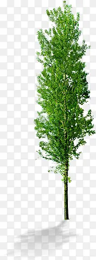 ������ֱ��������-������